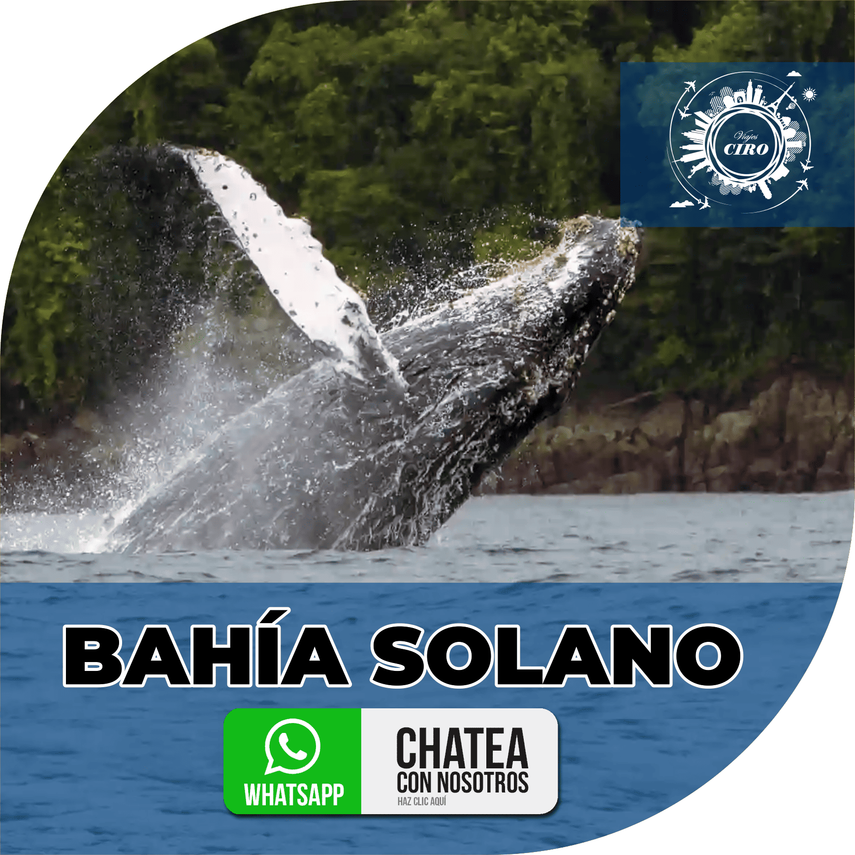 imagen de bahia solano